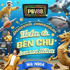 qq9900